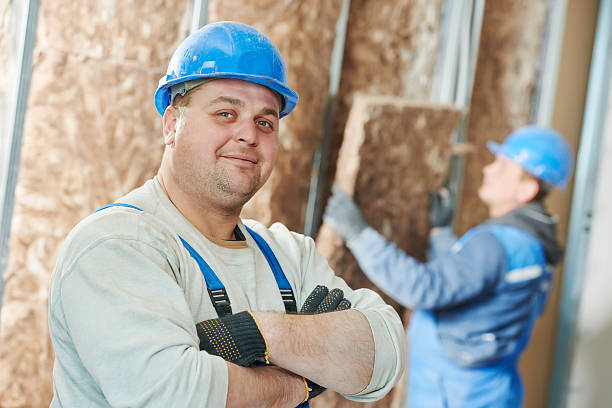 Professional Insulation in Boronda, CA