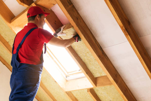 Best Insulation for New Construction  in Boronda, CA